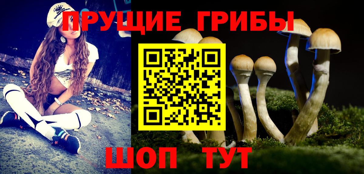 Псилоцибиновые грибы Cubensis  Вход с VPN  Галлюциногенные грибы Cubensis  Тихвин 
